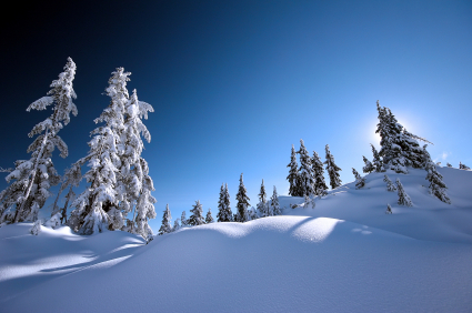 iStock_000001083095XSmall Ilchi Lee - Winter Landscape
