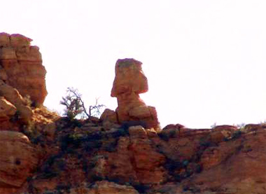 20110412_ilchi-lee-meditating-rock-sedona-closeup