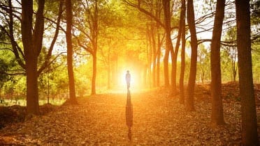 person walking into the setting sun in a forest